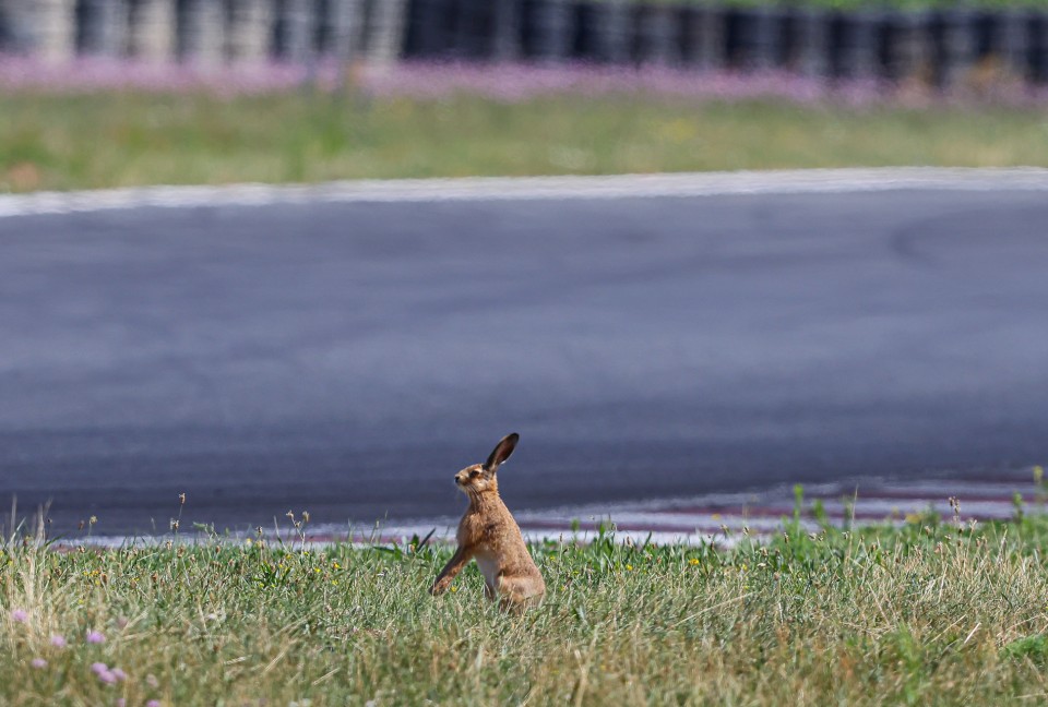 5. i 6. runda Wyścigowych Samochodowych Mistrzostw Polski 2023 - Fot. Grzegorz Kozera